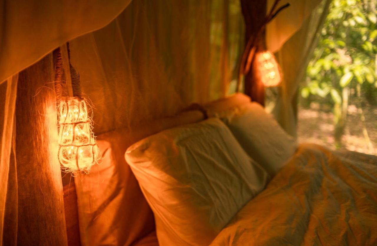 איקיטוס Awaken Amazonian Healing Resort All Inclusive מראה חיצוני תמונה