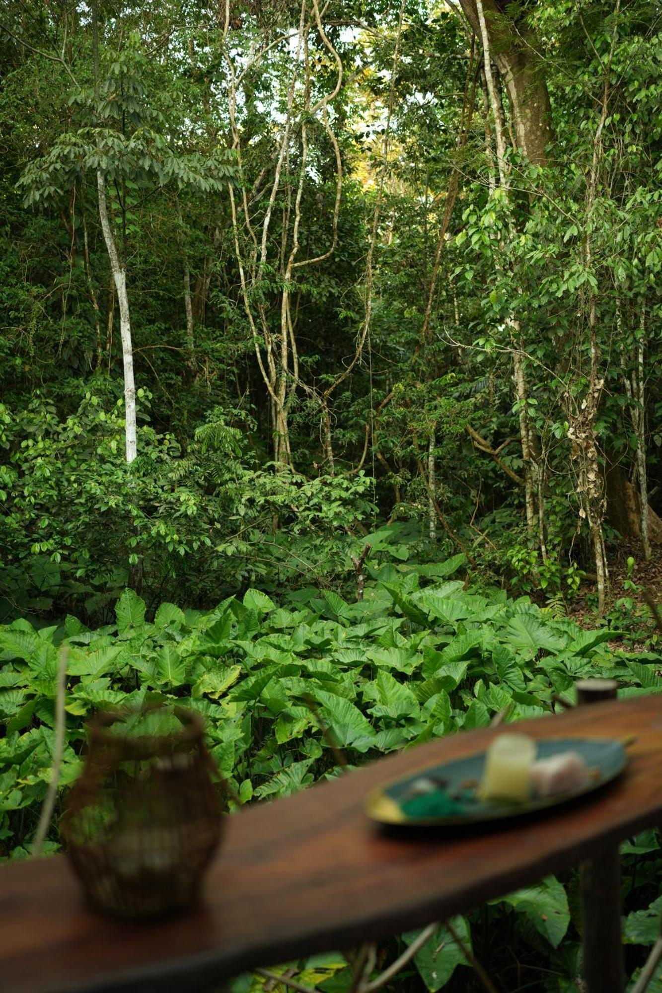 איקיטוס Awaken Amazonian Healing Resort All Inclusive מראה חיצוני תמונה