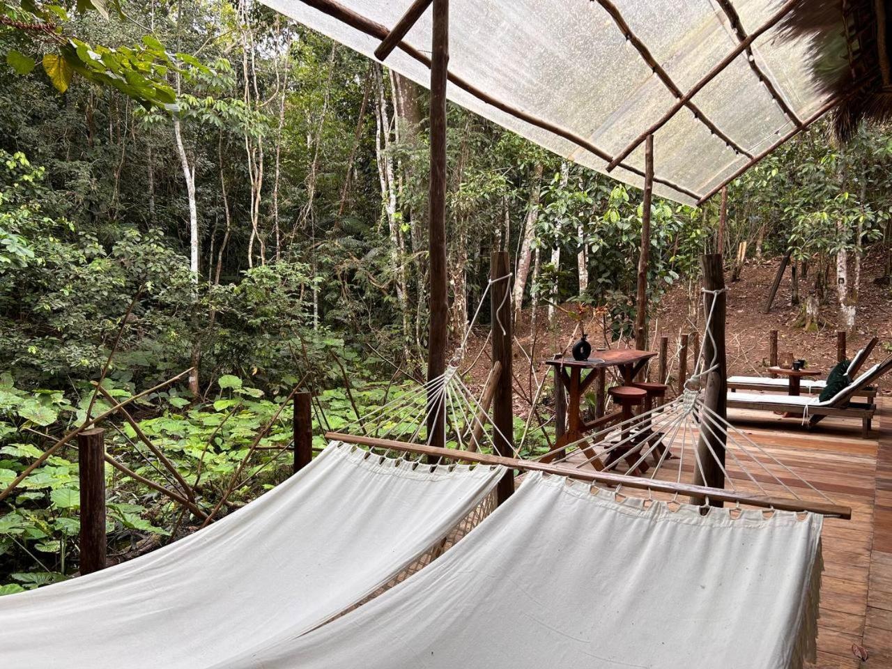 איקיטוס Awaken Amazonian Healing Resort All Inclusive חדר תמונה